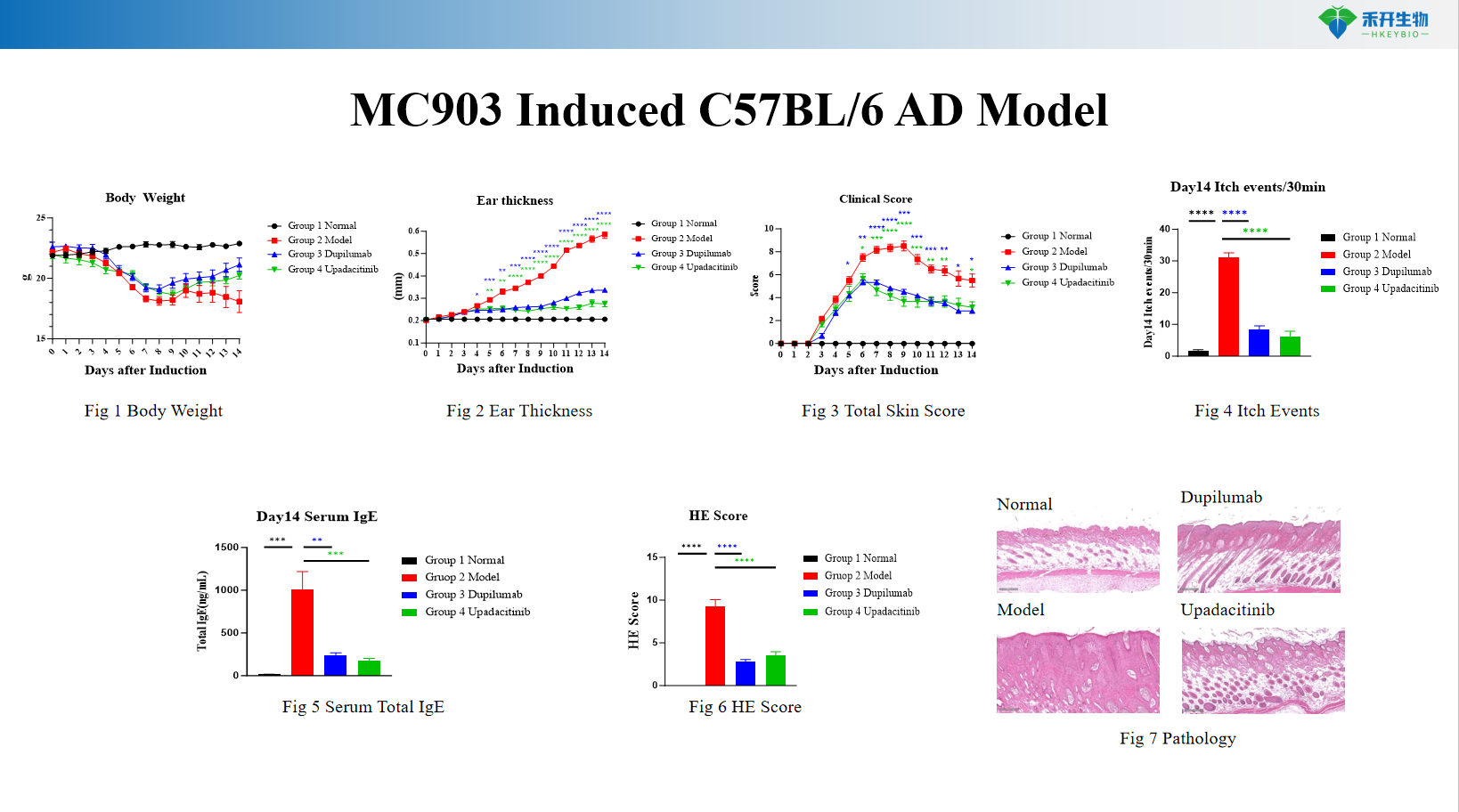 MC903 Induced C57BL/6 AD Model 1