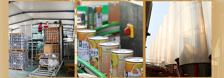 微信图片_20240112154621 微信圖片_20240112154621