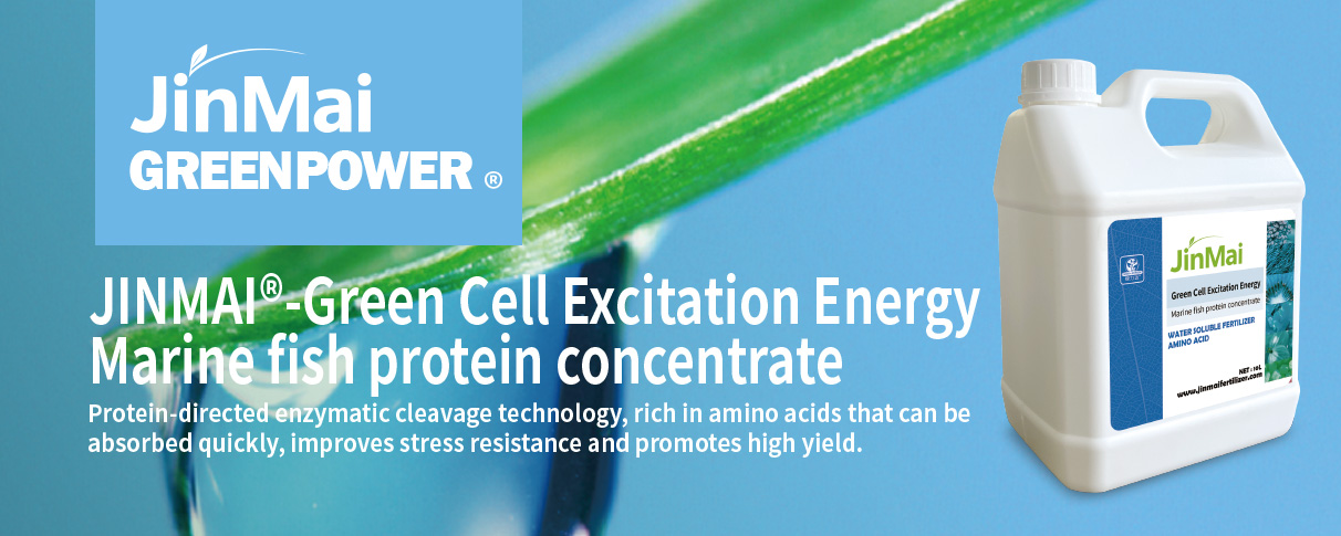 Marine Fish Protein Concentrate مركز بروتين الأسماك البحرية