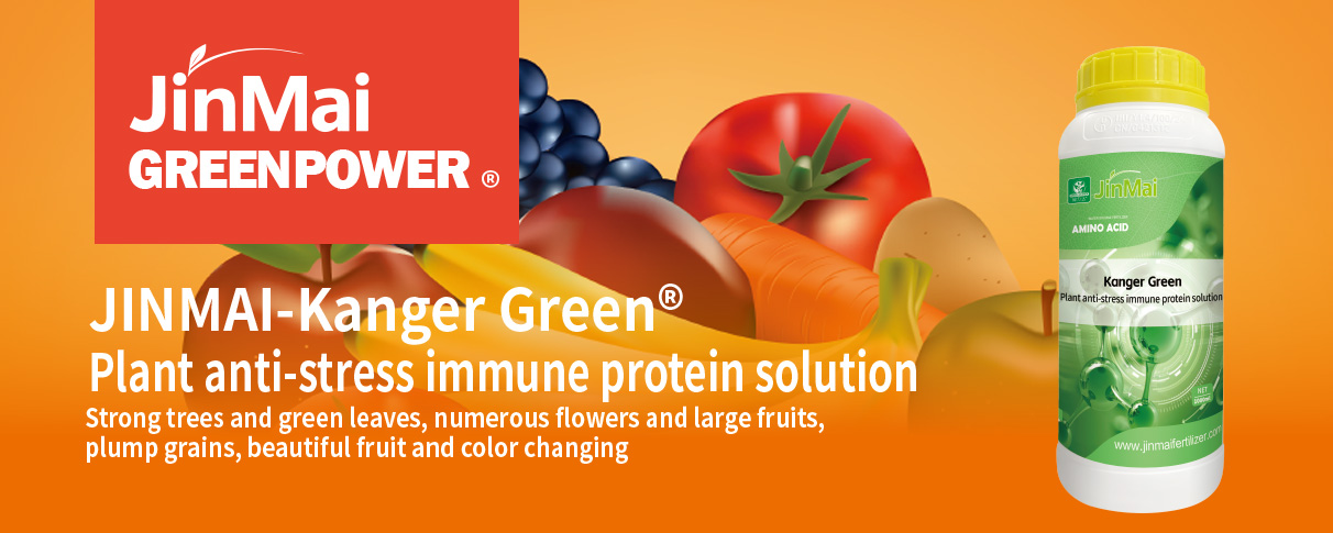 Plant Anti-Stress Immune Protein Solution Fertilizer_01 Fertilizante de solución de proteína inmune antiestrés vegetal_01