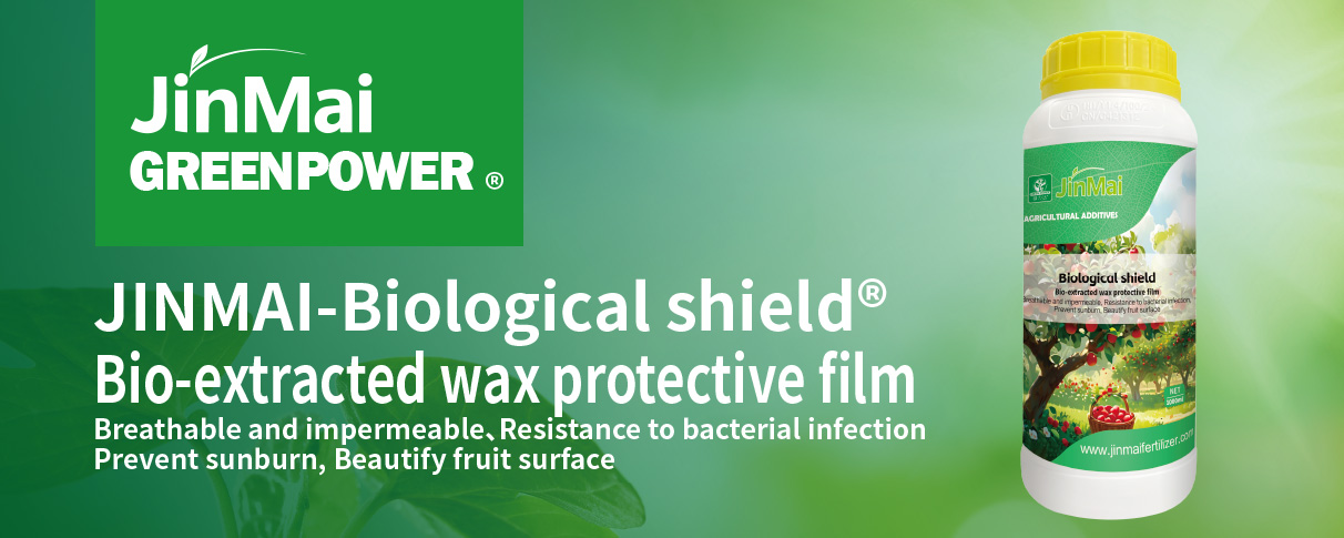 Bio-Extracted Wax Protective Film_01 Bio-extrahierter Wachsschutzfilm_01