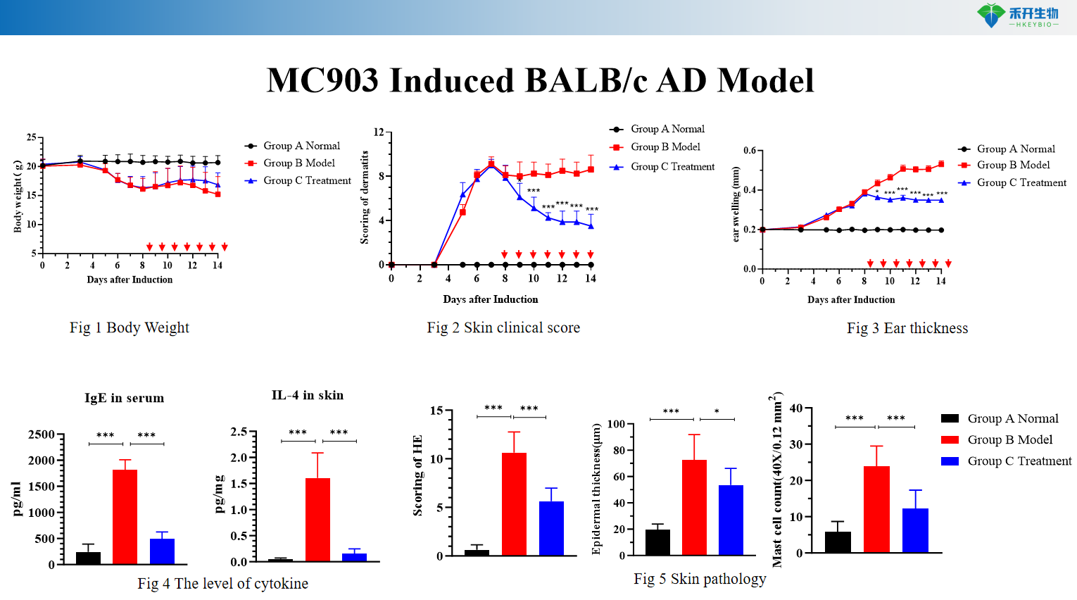 MC903 Induced BALB/c AD Model-01 2
