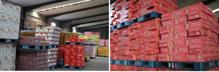 330ml Pre-Mixed Hard Seltzer vodka flavored Cocktail Drink 330 毫升预混合硬苏打水伏特加味鸡尾酒饮料