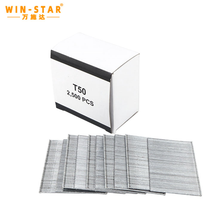 T50 staple nails (2) ตะปูลวดเย็บ T50 (2)