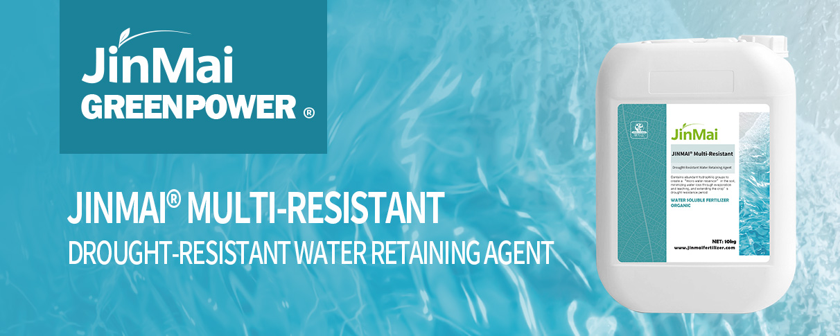 Drought-Resistant Water Retaining Agent_01 ភ្នាក់ងាររក្សាទឹកធន់នឹងគ្រោះរាំងស្ងួត_០១