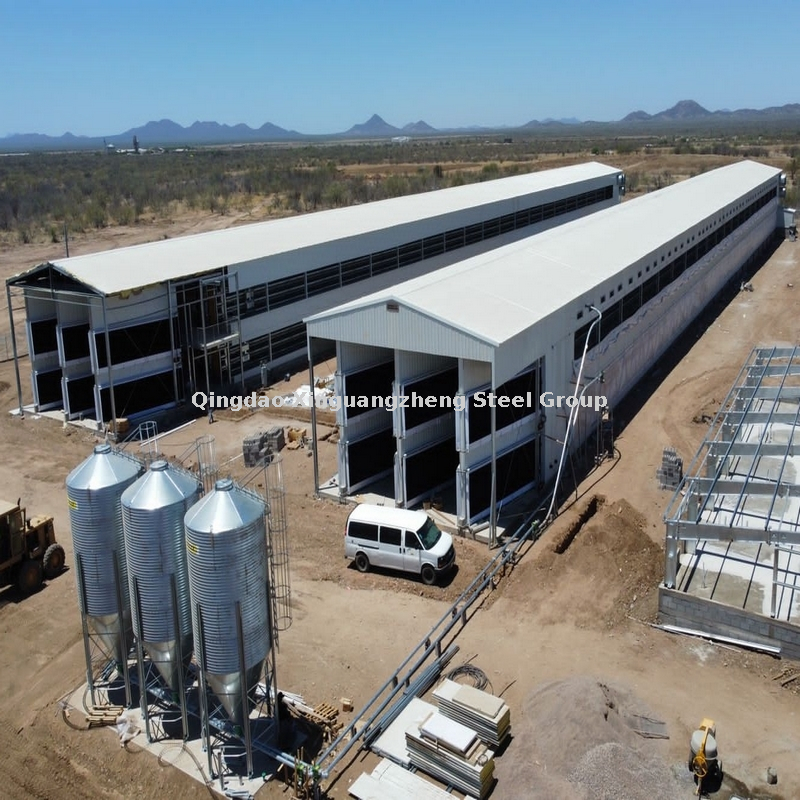 http://a0-static.micyjz.com/cloud/lkBplKinlnSRojmoqmqpim/Mexico-all-galvanized-prefab-steel-layer-house-bui.jpg