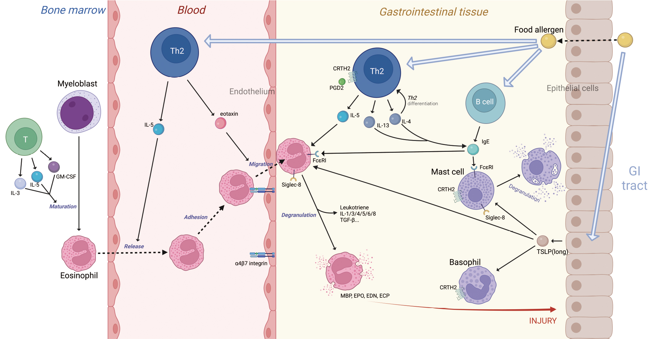 cm9-136-0899-3 cm9-136-0899-3