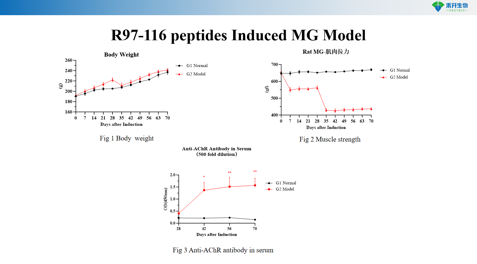 R97-116 peptides Induced MG Model02 22