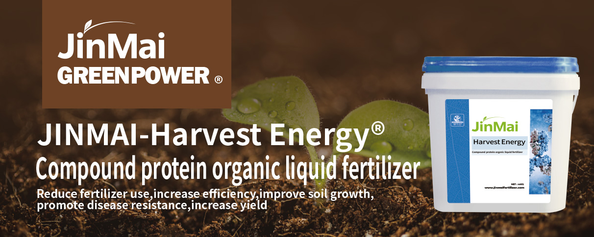 Compound Protein Organic Liquid Fertilizer Zusammengesetzter organischer Flüssigdünger mit Proteinen