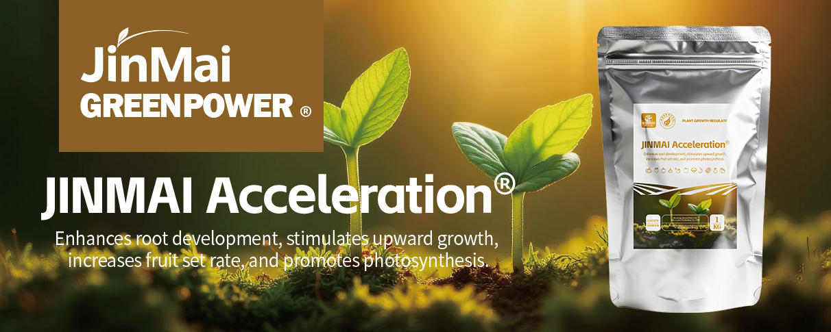 JINMAI Acceleration® Plant Growth Regulator_01 JINMAI Acceleration® Pflanzenwachstumsregulator_01