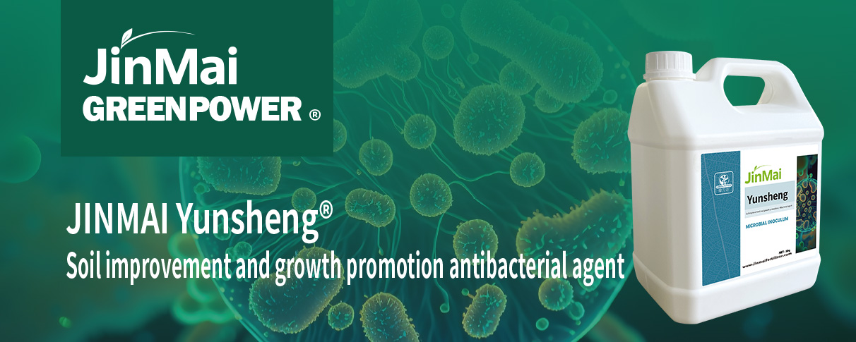 Soil Improvement And Growth Promotion Antibacterial Agent_01 عامل آنتی باکتریال بهبود و تقویت رشد خاک_01