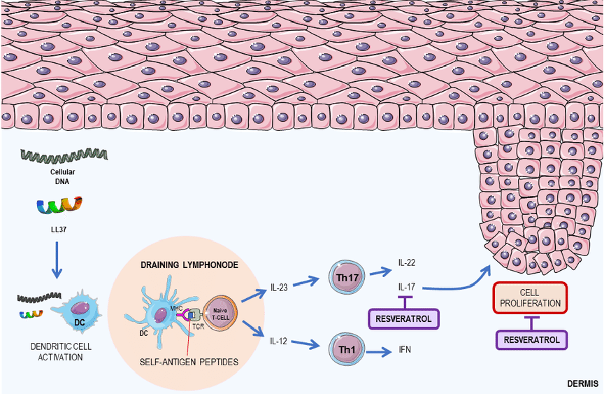 7f55456997da5592298395b2a2d12dc 7f55456997da5592298395b2a2d12dc
