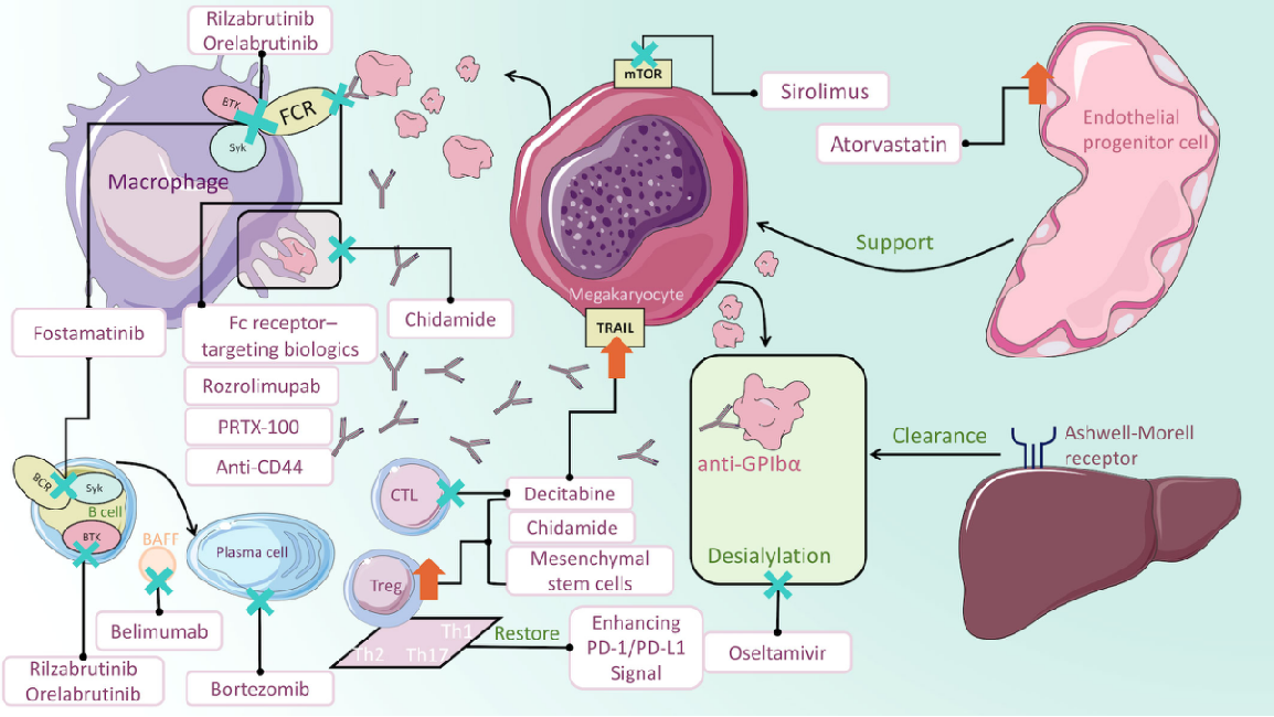 1b92afb7f3dcc862c7ce3c92130881c 1b92afb7f3dcc862c7ce3c92130881c