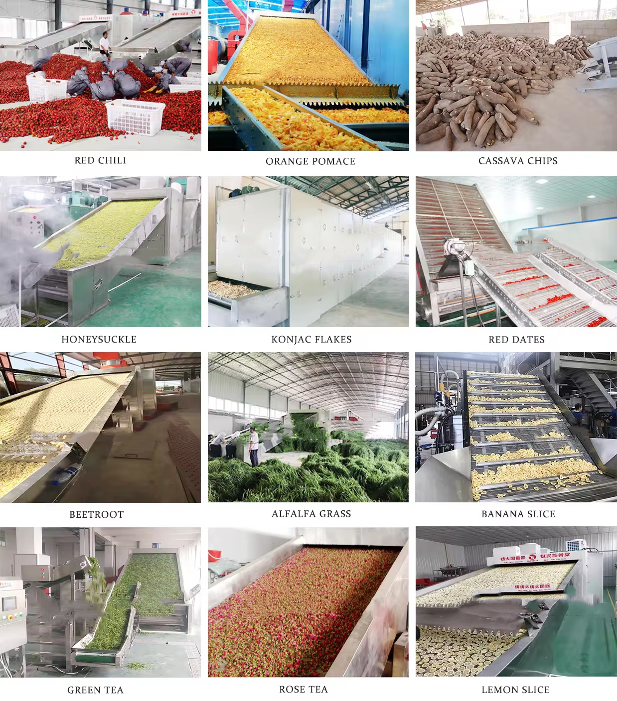 Commercial Multifunctional Fruit Vegetable Dehydrator Komersyal na Multifunctional Fruit Vegetable Dehydrator
