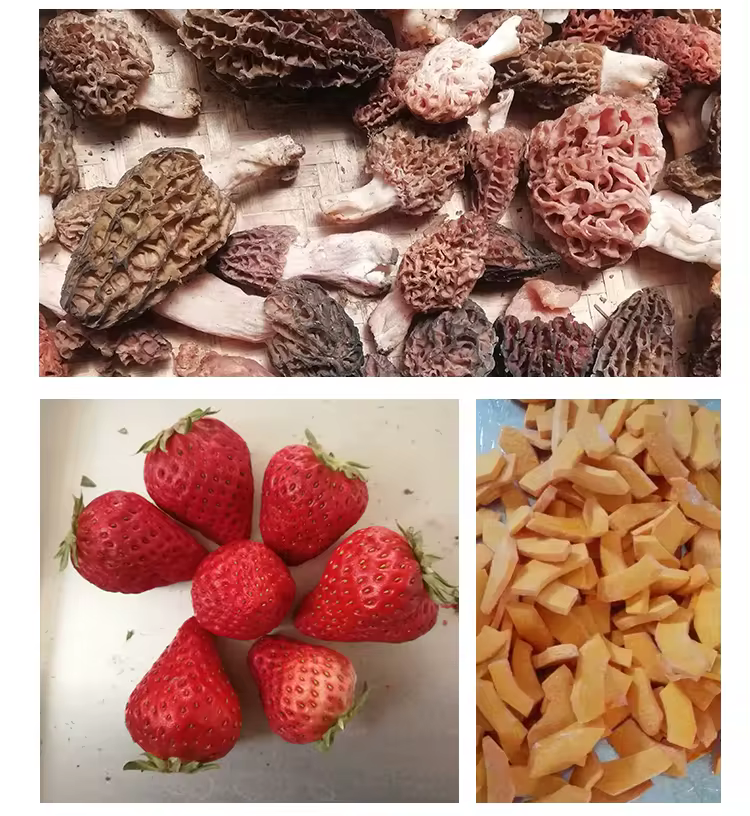 Kommersiële vriesdroër