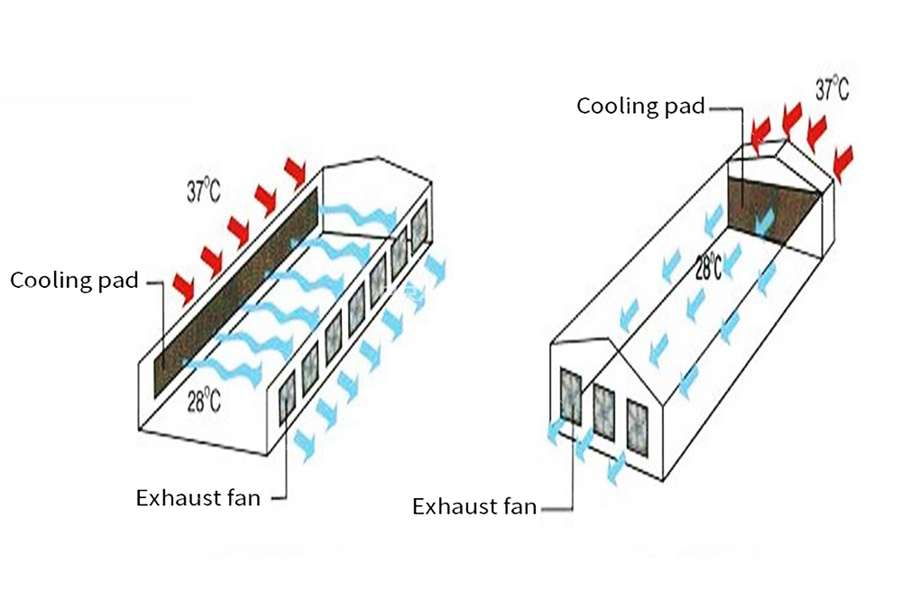 Working Theory Teori Kerja