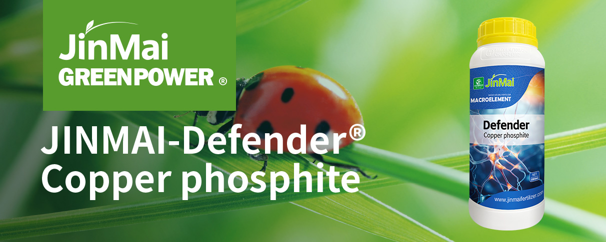 Copper Phosphite_01 Kupferphosphit_01