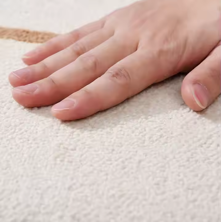 Solid Color Waterproof Rug Living room Carpet สีทึบพรมกันน้ำพรมห้องนั่งเล่นพรม