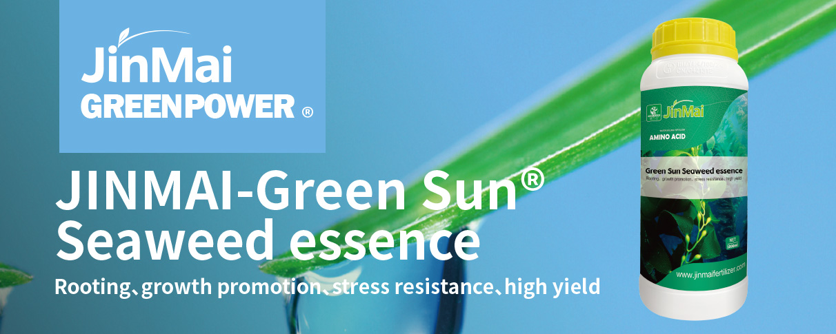 Seaweed Essence Fertilizer Fertilizzante all'essenza di alghe marine