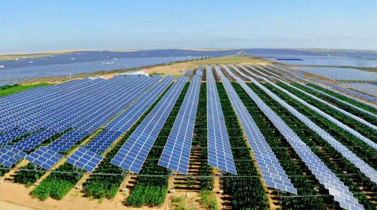 Lighting conditions Lichtomstandigheden