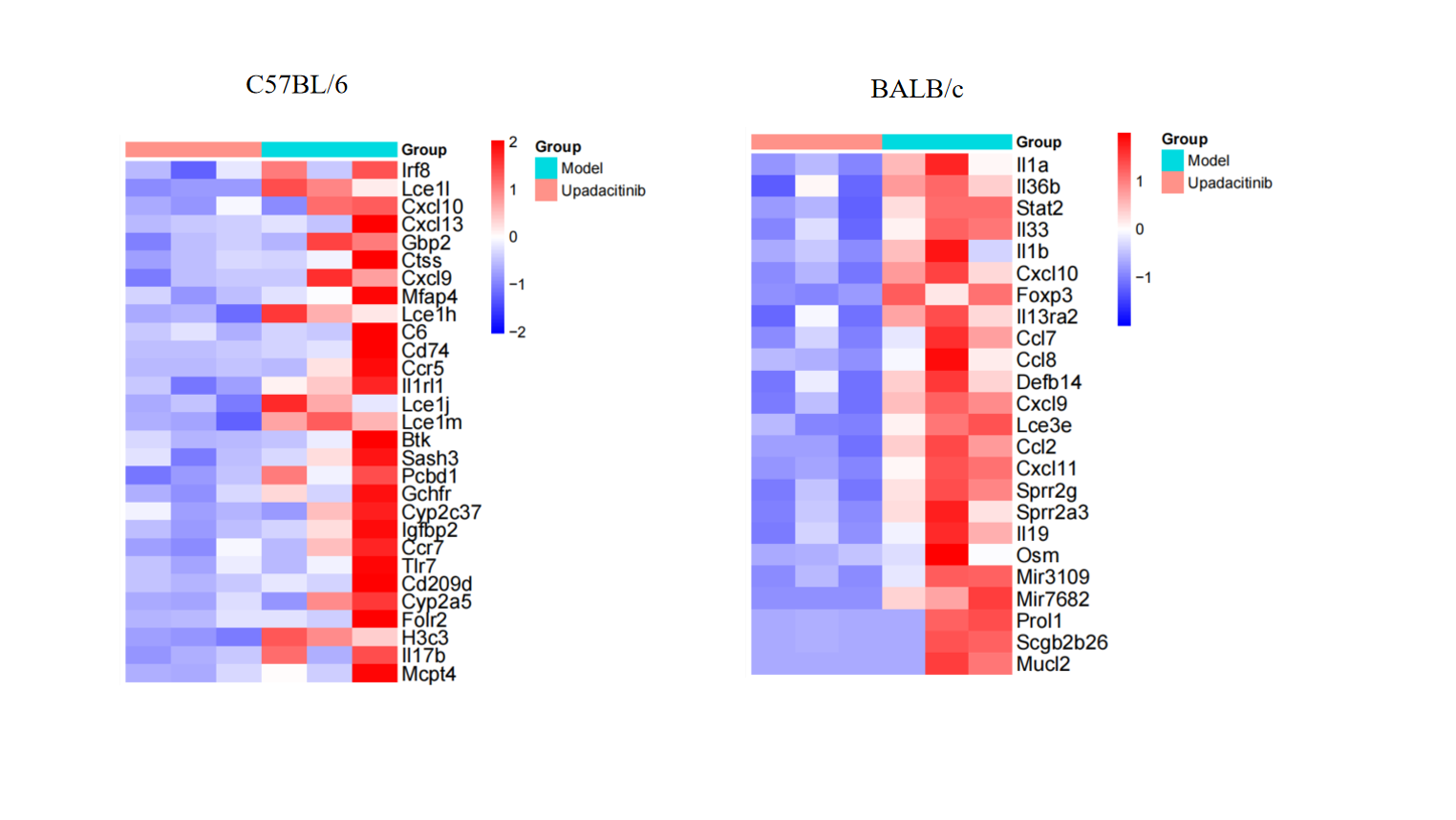 MC903 Induced BALB/c AD Model-02 3