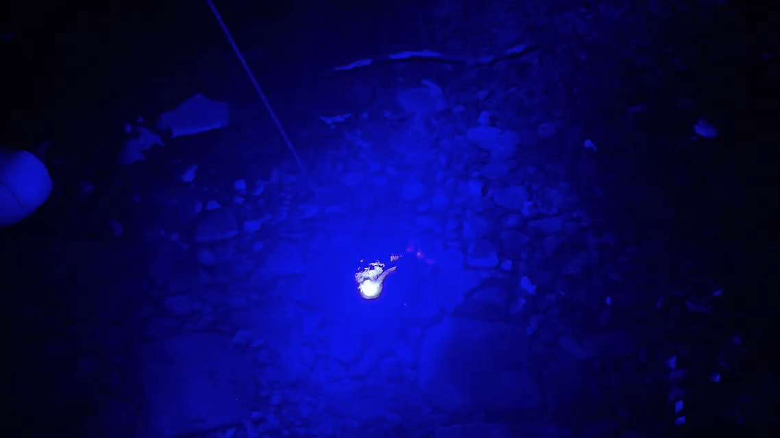 藍色高功率激光筆燃燒