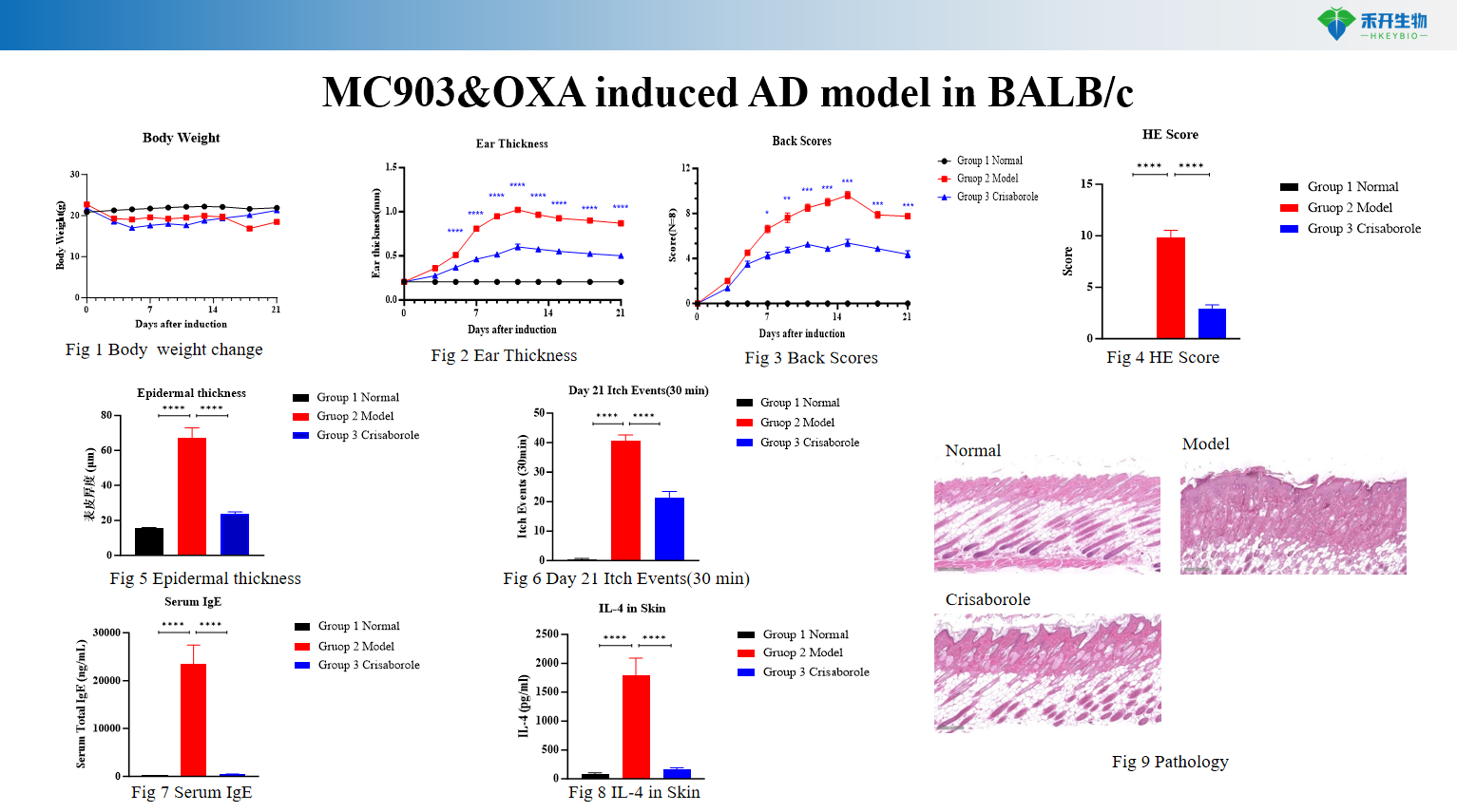 MC903&OXA induced AD model in BALB/c 4