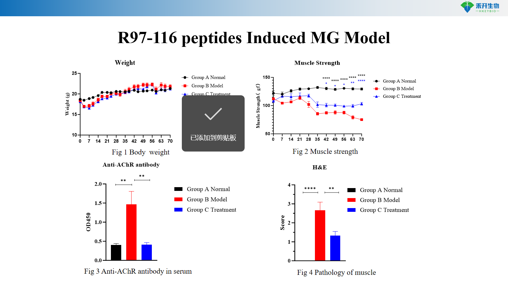 R97-116 peptides Induced MG Model01 11