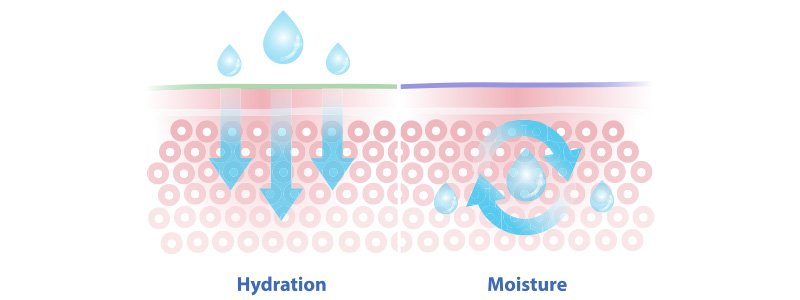 How Skinbooster Hyaluronic Acid Works Skinbooster 透明質酸的工作原理