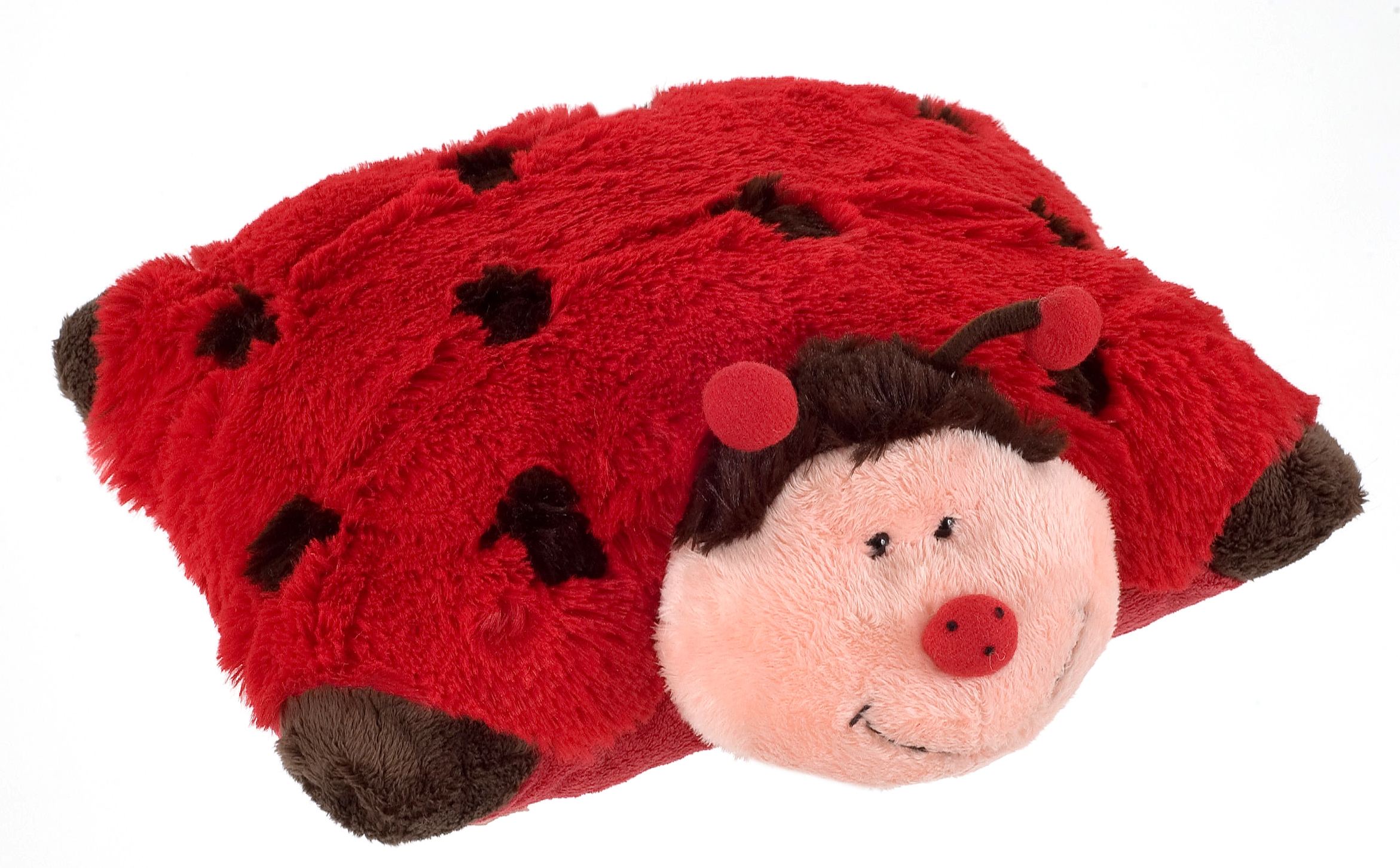LadyBugFlat لیدی باگ فلت