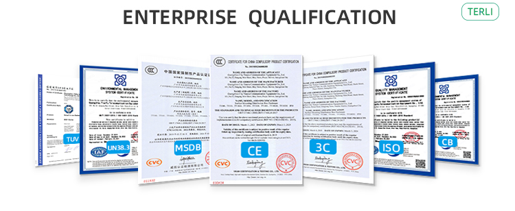 lithium batterij power muur