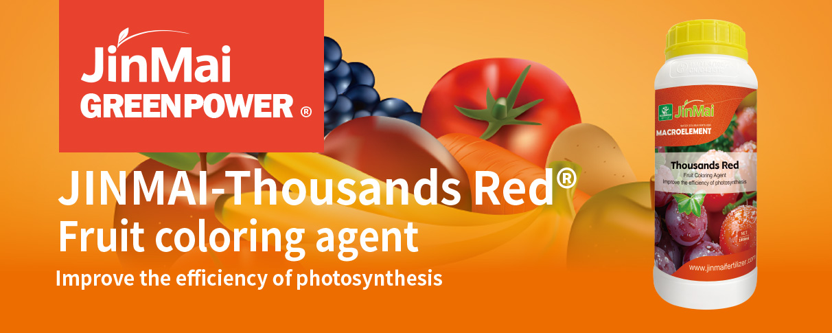 Fruit Coloring Agent Fertilizer_01 Fruchtfarbstoffdünger_01