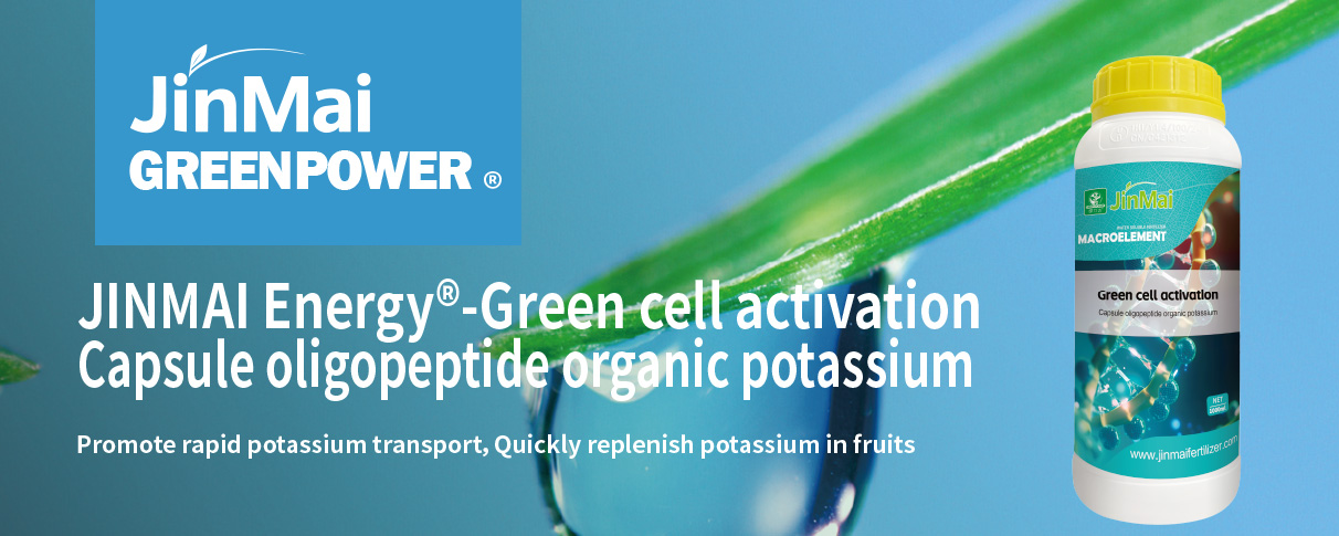 Capsule Oligopeptide Organic Potassium Fertilizer کود آلی پتاسیم کپسول الیگوپپتید