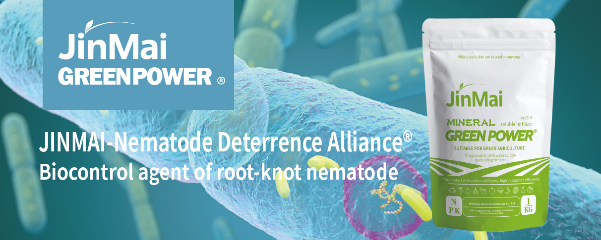 Biocontrol Agent Of Root-Knot Nematode_01 Biokontrollmittel des Wurzelknotennematoden_01