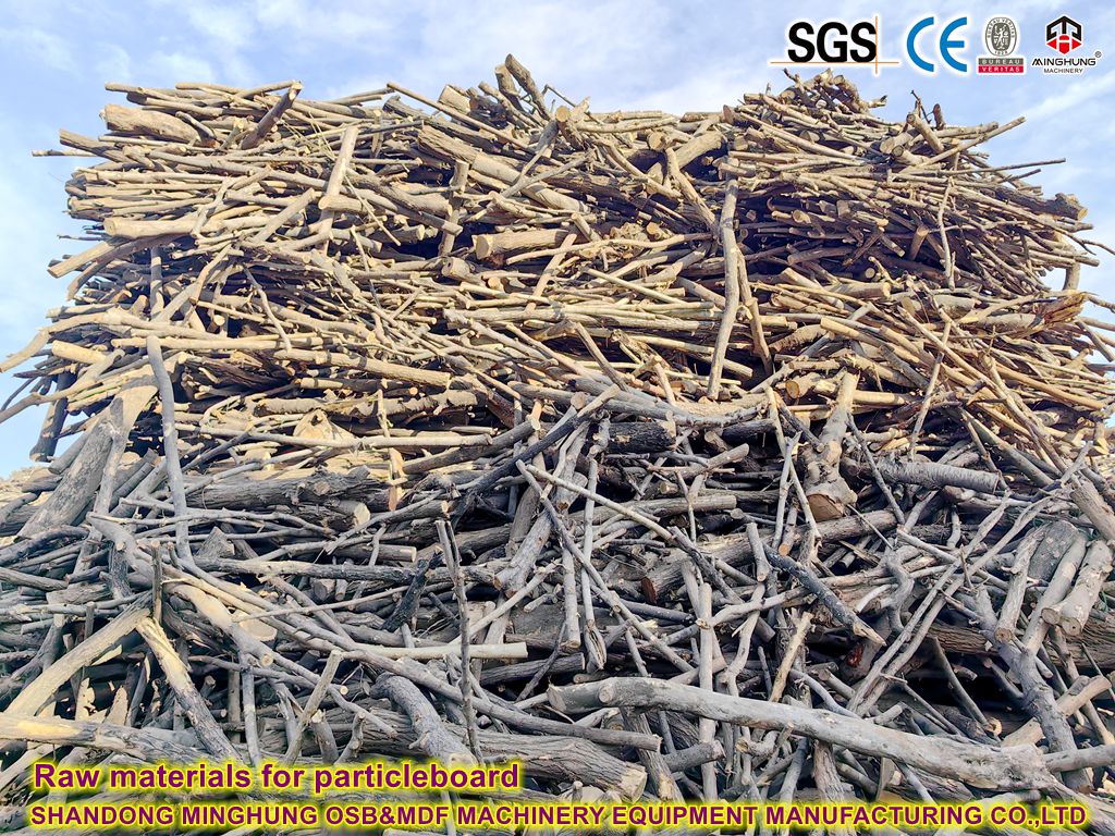 Raw materials for OSB OSB üçin çig mal
