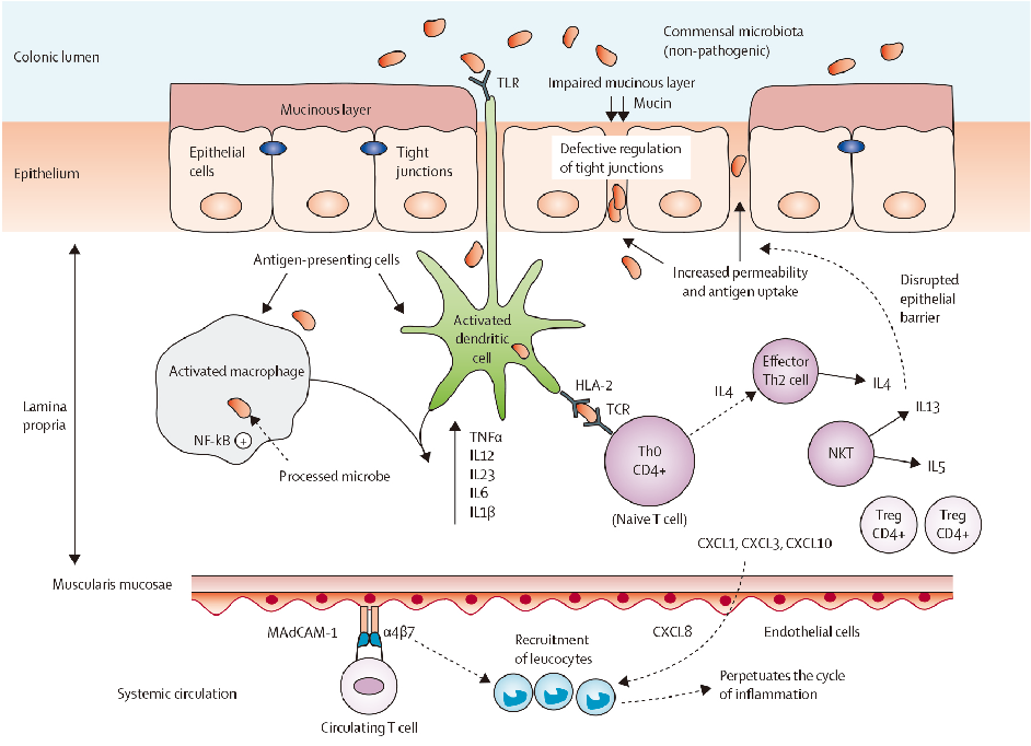 dc8702314a26b66819cf6c4ee912a16 dc8702314a26b66819cf6c4ee912a16