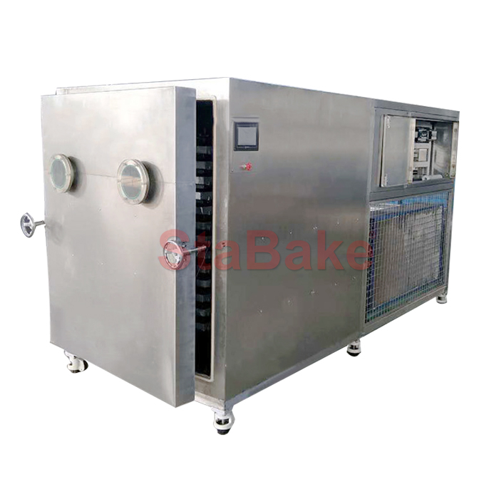 Вакуумная сублимационная сушильная машина