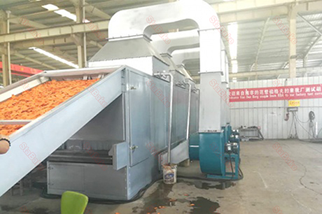 Carrot-drying-machine-in-South-Africa-460-460.jpg