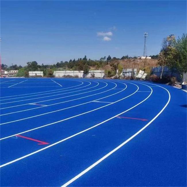 Blue EPDM rubber track Cingolo in gomma EPDM blu