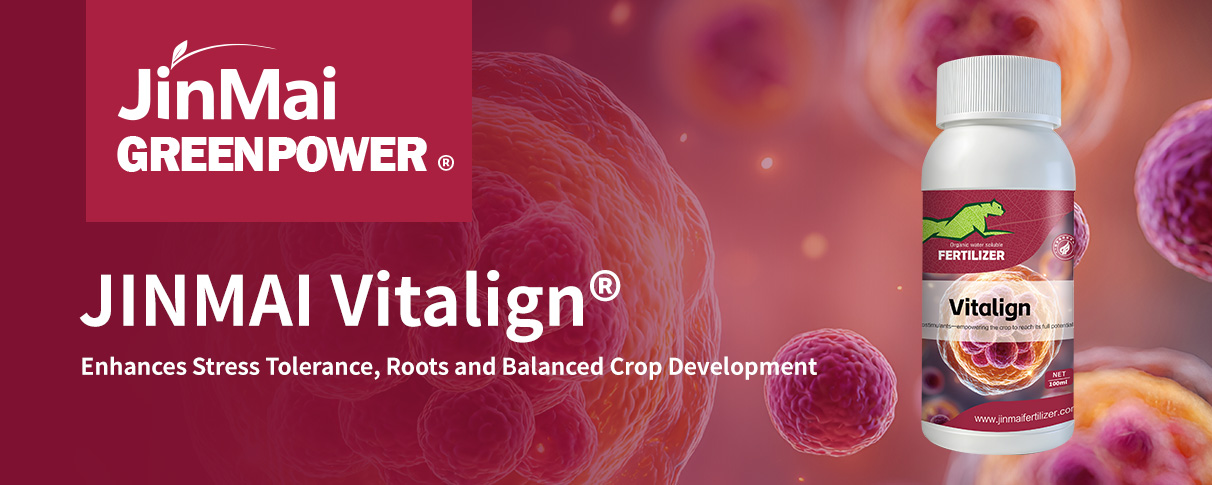 JINMAI Vitalign®_01 JINMAI Vitalign®_01