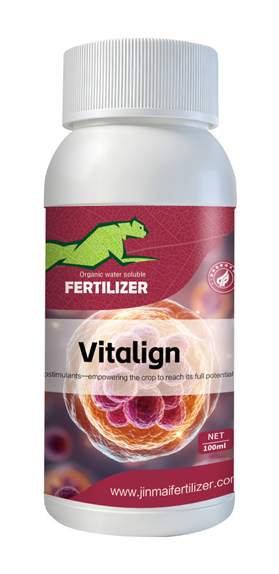 JINMAI Vitalign®_02 JINMAI Vitalign®_02