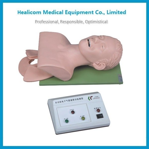 H-3 Modello di addestramento per l'intubazione elettronica della trachea di alta qualità