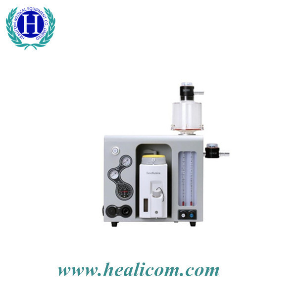 Appareil d'anesthésie portatif d'appareil d'anesthésie d'équipement médical HA-P (V)