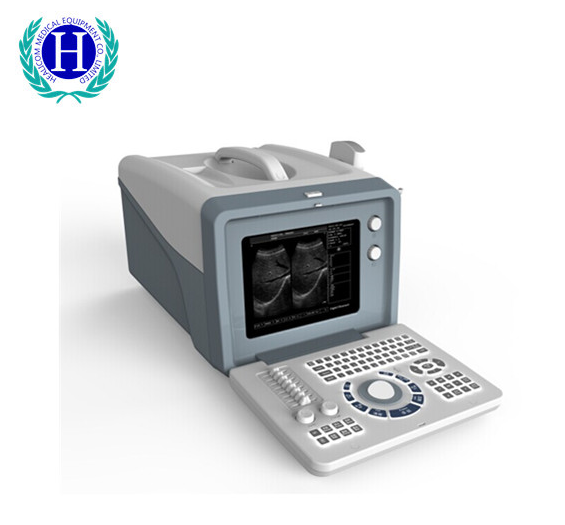 Wjwvor1xb {a5g6ns $ fee_sb