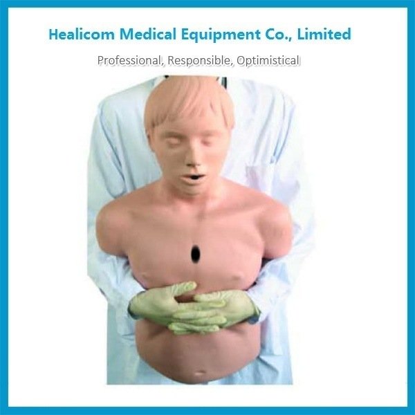 H-CPR155 Manichino per modelli di ostruzione per adulti