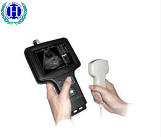 QQ 图片 20 18121110232 1