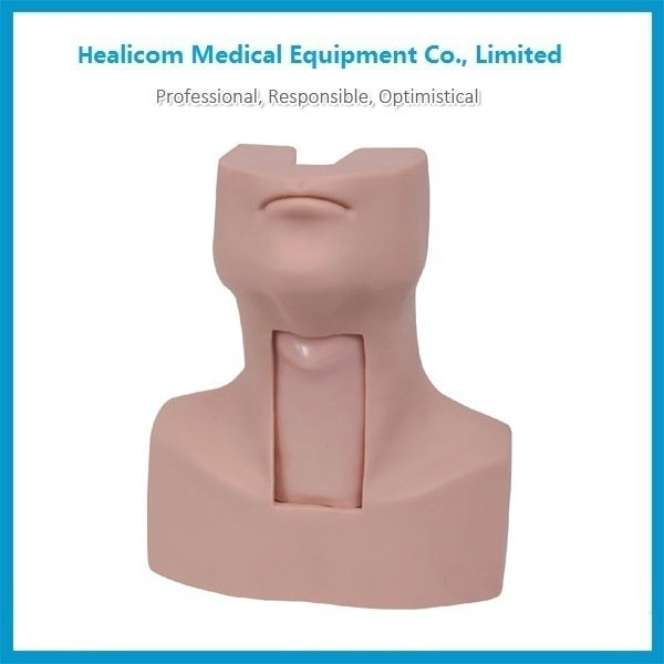 Manequim de treinamento de intubação de traqueia modelo médico H-58 da China fornecedor com preço baixo