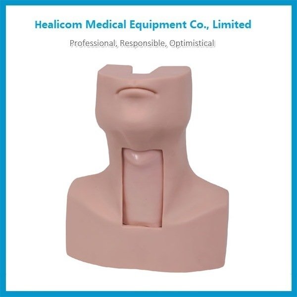 Mannequin de formation d'intubation de trachée modèle médical H-58 de fournisseur de la Chine avec le prix bas