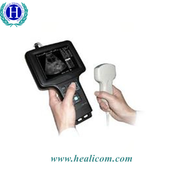 Analizzatore portatile a 5,6 pollici di ultrasuono del veterinario dell'attrezzatura diagnostica medica Hv-6 per gli animali