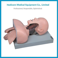 Modèle d'entraînement à l'intubation de la trachée H-50 de haute qualité